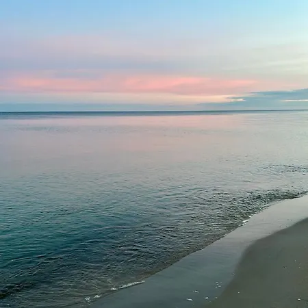 Pine Tree House 6 Διαμέρισμα Międzywodzie