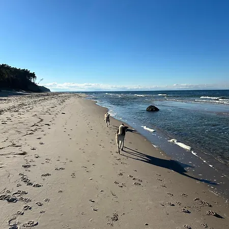 Pine Tree House 6 Międzywodzie