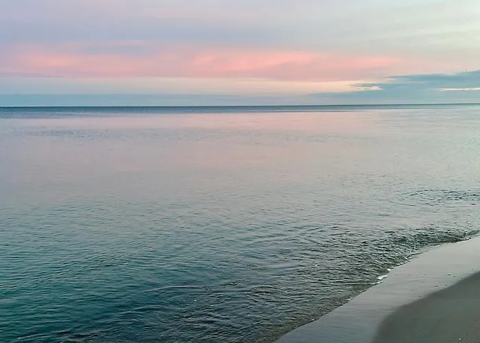 Pine Tree House 6 Διαμέρισμα Międzywodzie