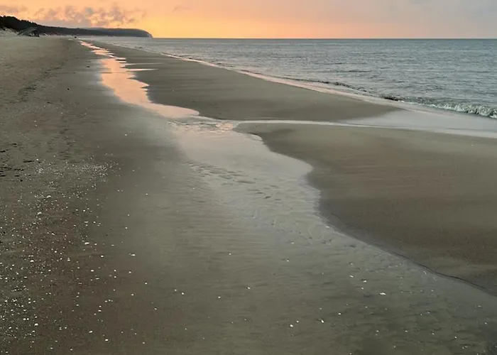 Διαμέρισμα Pine Tree House 6 Międzywodzie