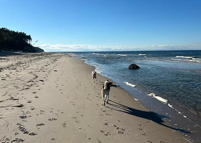 Pine Tree House 6 Międzywodzie